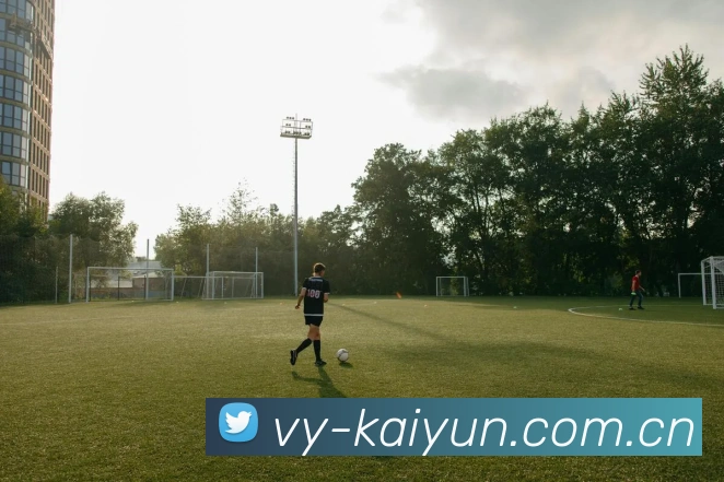 kaiyun功能截图